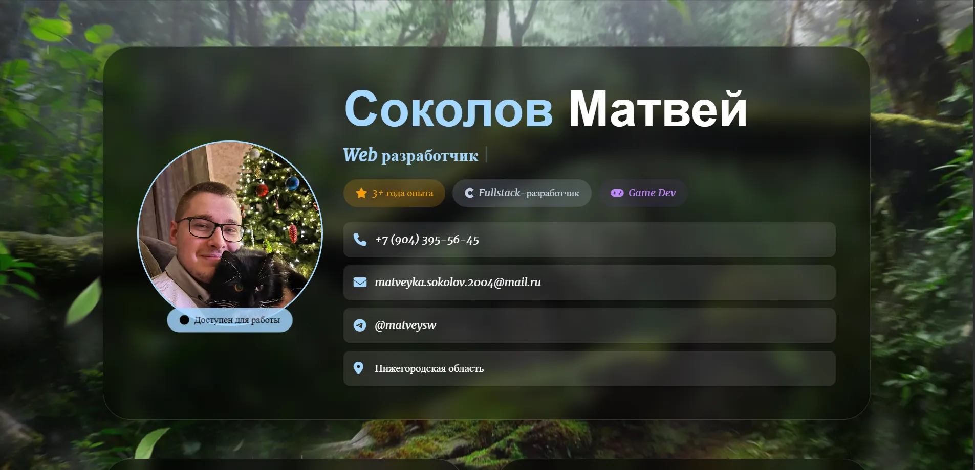 Персональный сайт-портфолио